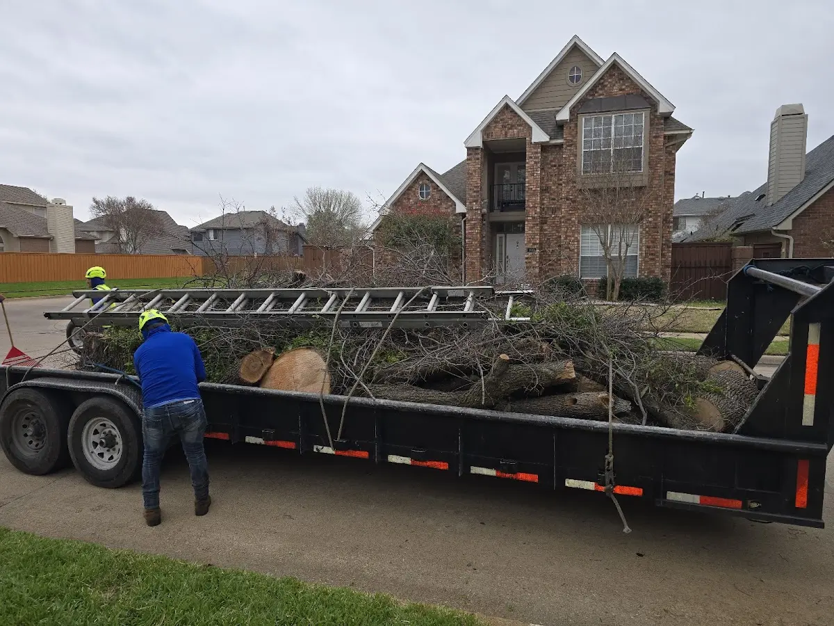 Expert Tree Fertilization with proper safety equipment in Ty Ty